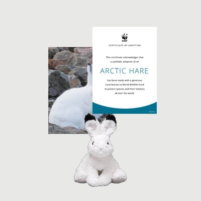 arctic hare Mini plush adoption kit