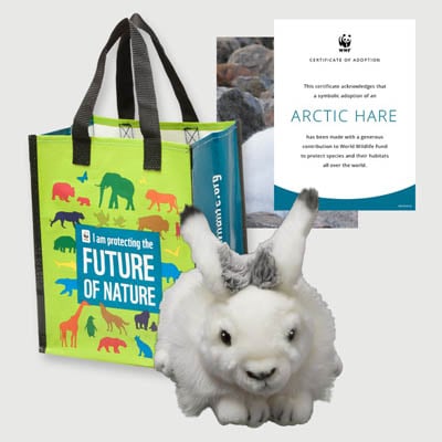 arctic hare Plush adoption kit