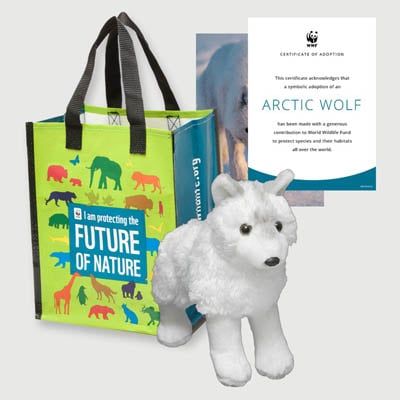 arctic wolf Plush adoption kit