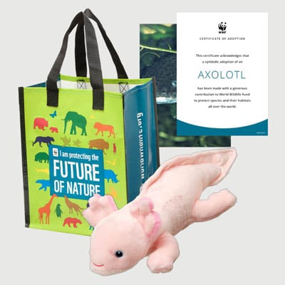 axolotl Plush adoption kit