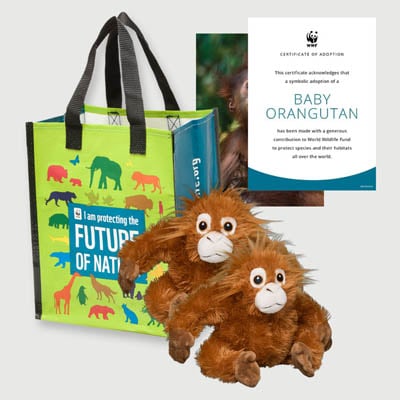 baby orangutan Plush adoption kit