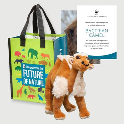 bactrian camel Plush adoption kit