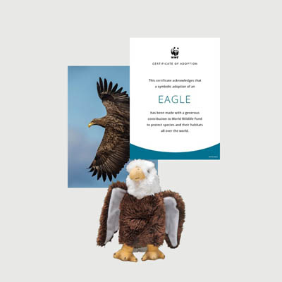 bald eagle Mini plush adoption kit