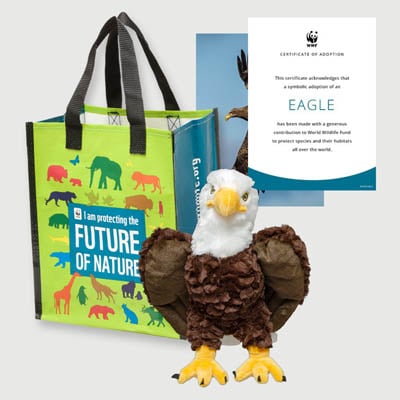 bald eagle Plush adoption kit