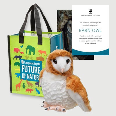 barn owl Plush adoption kit