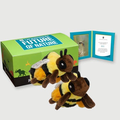 bee Plush, box + frame adoption kit
