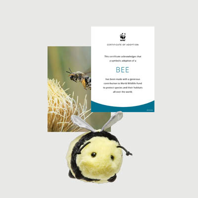 bee Mini plush adoption kit