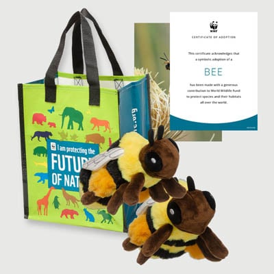 bee Plush adoption kit