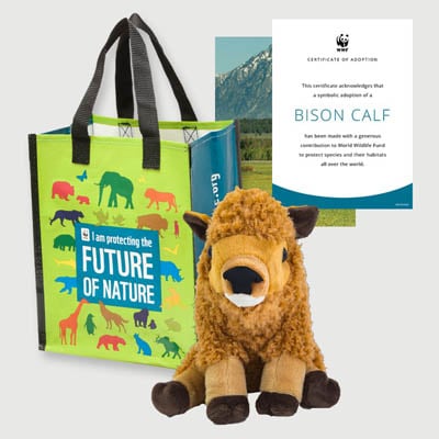 bison calf Plush adoption kit