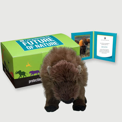 bison Plush, box + frame adoption kit