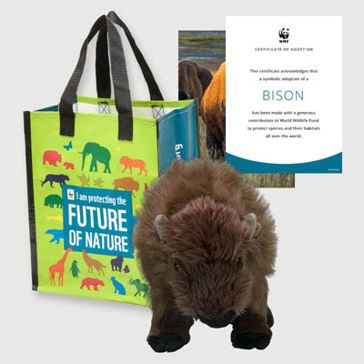 bison Plush adoption kit
