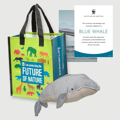 blue whale Plush adoption kit