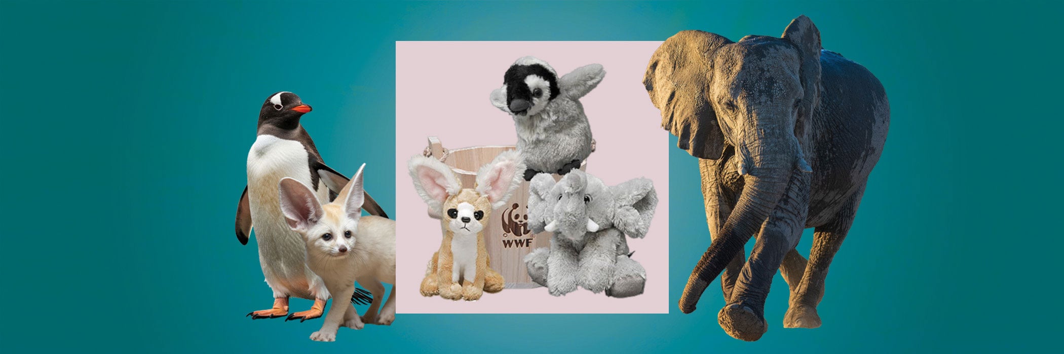 Bucket of plush fennec fox, penguin, and elephant plush on square in front of real life counterparts
