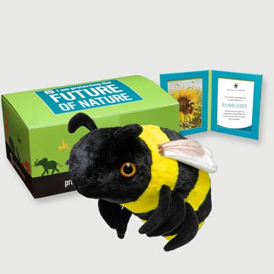 bumblebee Plush, box + frame adoption kit