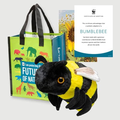 bumblebee Plush adoption kit