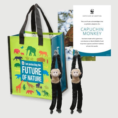 capuchin monkey Plush adoption kit