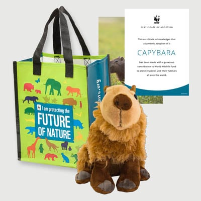capybara Plush adoption kit