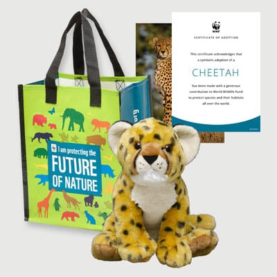 cheetah Plush adoption kit