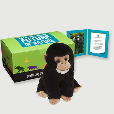 chimpanzee Plush, box + frame adoption kit