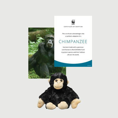 chimpanzee Mini plush adoption kit