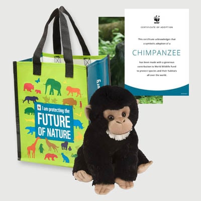 chimpanzee Plush adoption kit