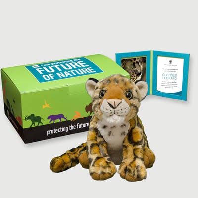 clouded leopard Plush, box + frame adoption kit