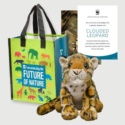 clouded leopard Plush adoption kit