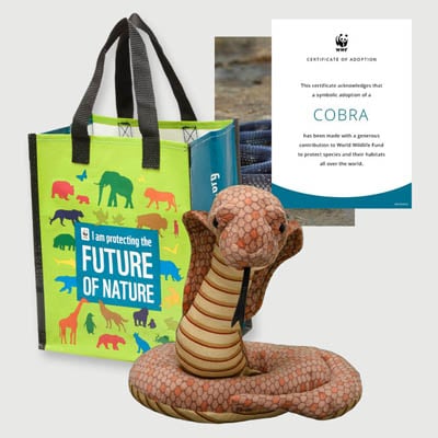 cobra Plush adoption kit