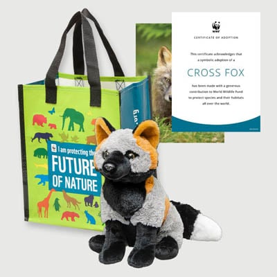 cross fox Plush adoption kit