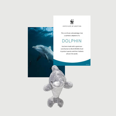 dolphin Mini plush adoption kit
