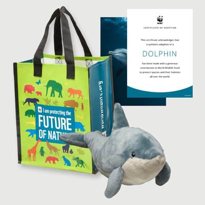dolphin Plush adoption kit