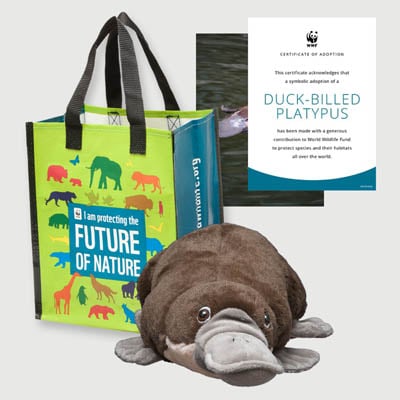 duck billed platypus Plush adoption kit