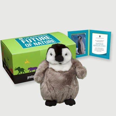 emperor penguin chick Plush, box + frame adoption kit