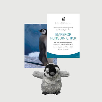 emperor penguin chick Mini plush adoption kit