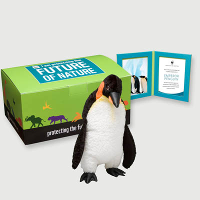 emperor penguin Plush, box + frame adoption kit