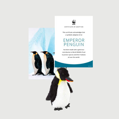 emperor penguin Mini plush adoption kit