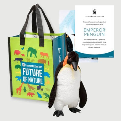 emperor penguin Plush adoption kit