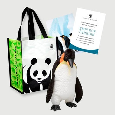Emperor Penguin