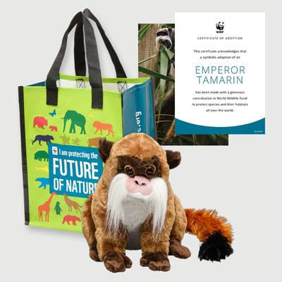 emperor tamarin Plush adoption kit