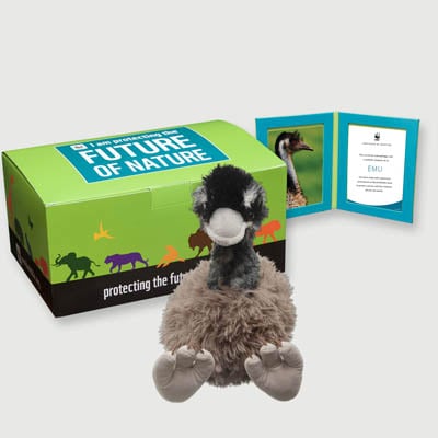 emu Plush, box + frame adoption kit