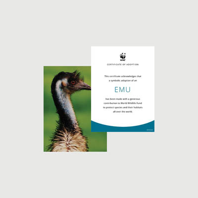 emu Photo + certificate adoption kit