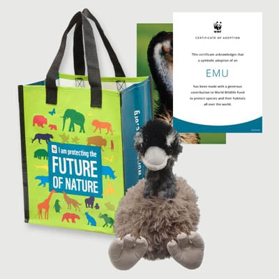 emu Plush adoption kit