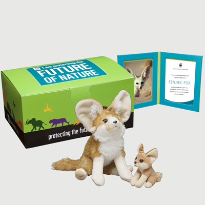 fennec fox Plush pair adoption kit