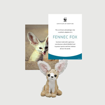 fennec fox Mini plush adoption kit