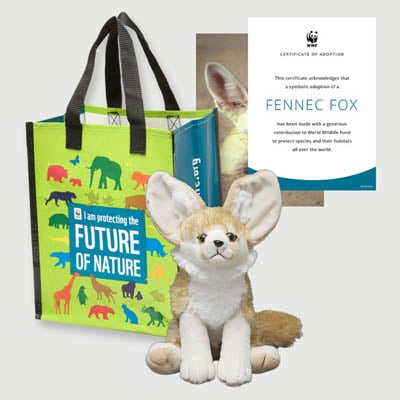 fennec fox Plush adoption kit