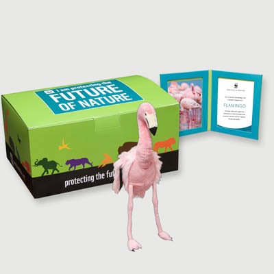 flamingo Plush, box + frame adoption kit
