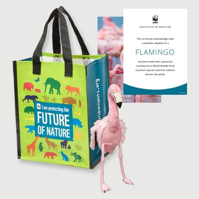 flamingo Plush adoption kit