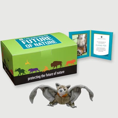 flying fox Plush, box + frame adoption kit