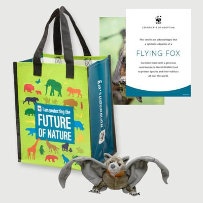 flying fox Plush adoption kit