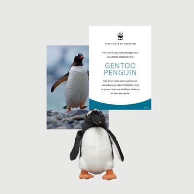 gentoo penguin Mini plush adoption kit